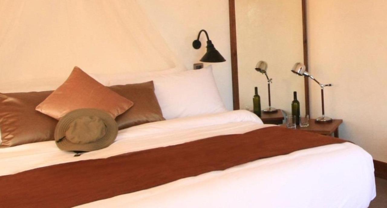 The Funny Lion - Coron Hotell Exteriör bild